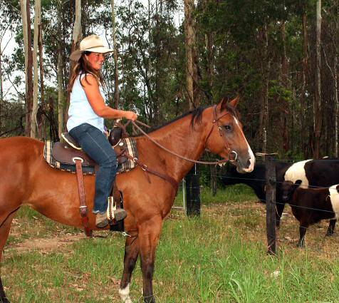 Zoe keeps watch over her herd