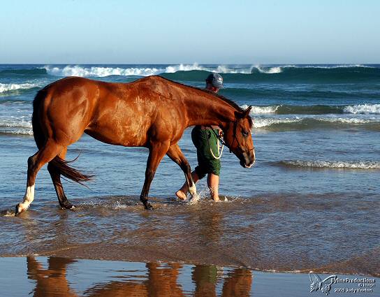 Zoe and her horse wade in the waves