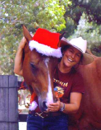 horse in Christmas Hat
